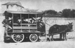 transporte animal